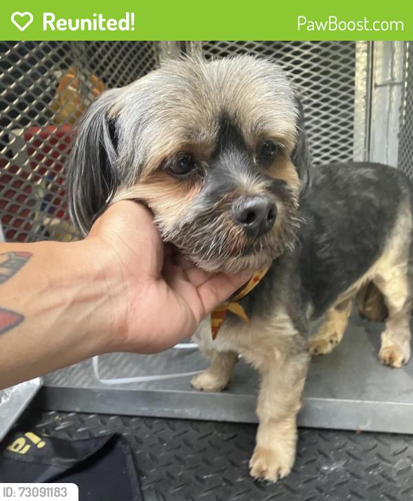 Reunited Male Dog last seen Crooks near Trenton Ave Clifton /Pat border , Clifton, NJ 07503
