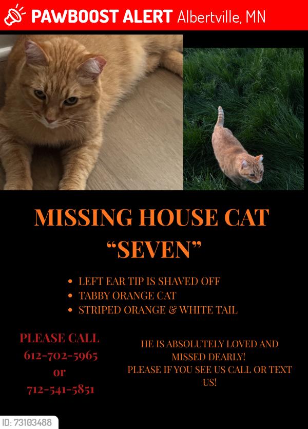 Lost Male Cat last seen Near 72nd St NE, Albertville, MN 55301