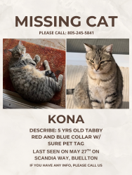 Lost Male Cat last seen Scandia drive, Buellton, CA 93427