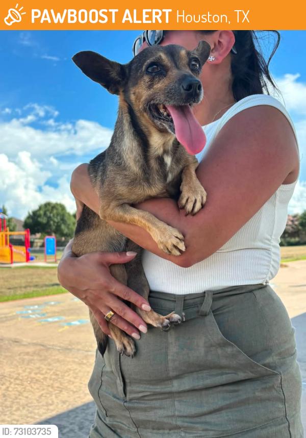 Found/Stray Unknown Dog last seen Riverstone Ranch Clear Lake, Houston, TX 77089