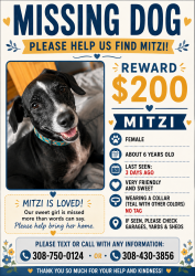 Lost Female Dog last seen Near commercial, Palmer, NE 68864