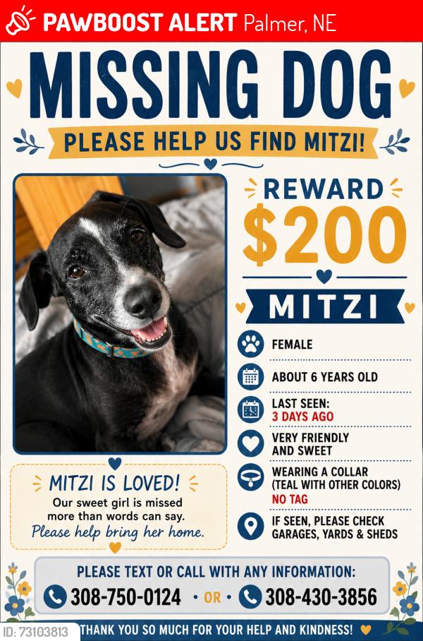 Lost Female Dog last seen Near commercial, Palmer, NE 68864