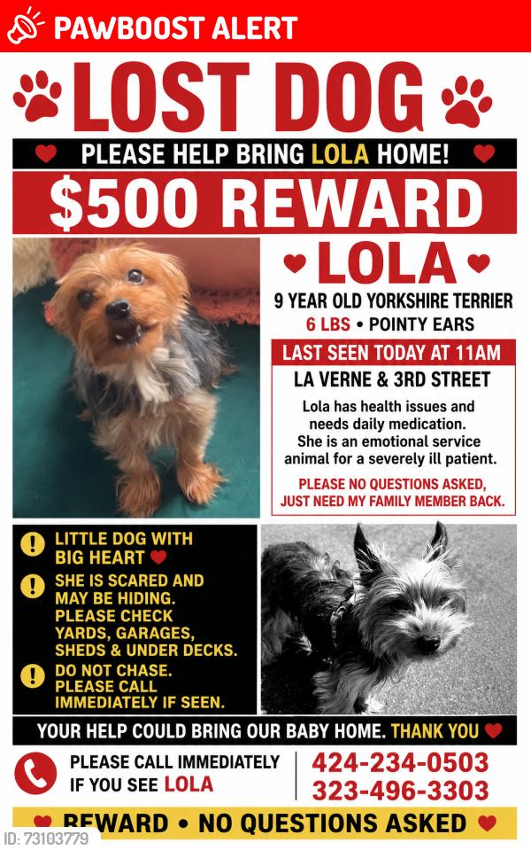 Lost Female Dog last seen 3rd street duck park, East Los Angeles, CA 90022