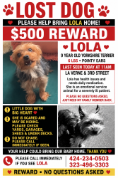 Lost Female Dog last seen 3rd street duck park, East Los Angeles, CA 90022
