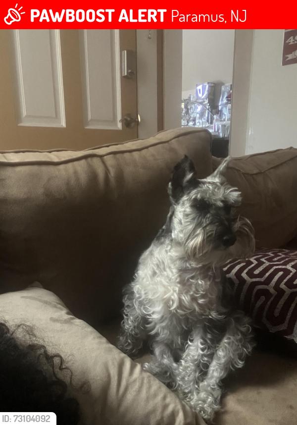 Lost Female Dog last seen Farview Animal Clinic, Paramus, NJ 07652