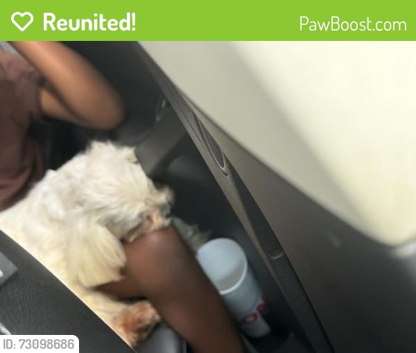 Reunited Female Dog last seen Van Epps, Atlanta, GA 30316