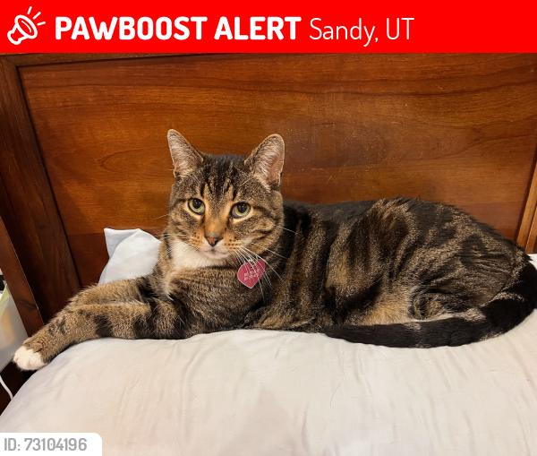 Lost Male Cat last seen Near East, Sandy, UT 84094