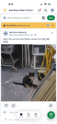 Found/Stray Unknown Cat last seen Near shoreparway, Brooklyn, NY 11214