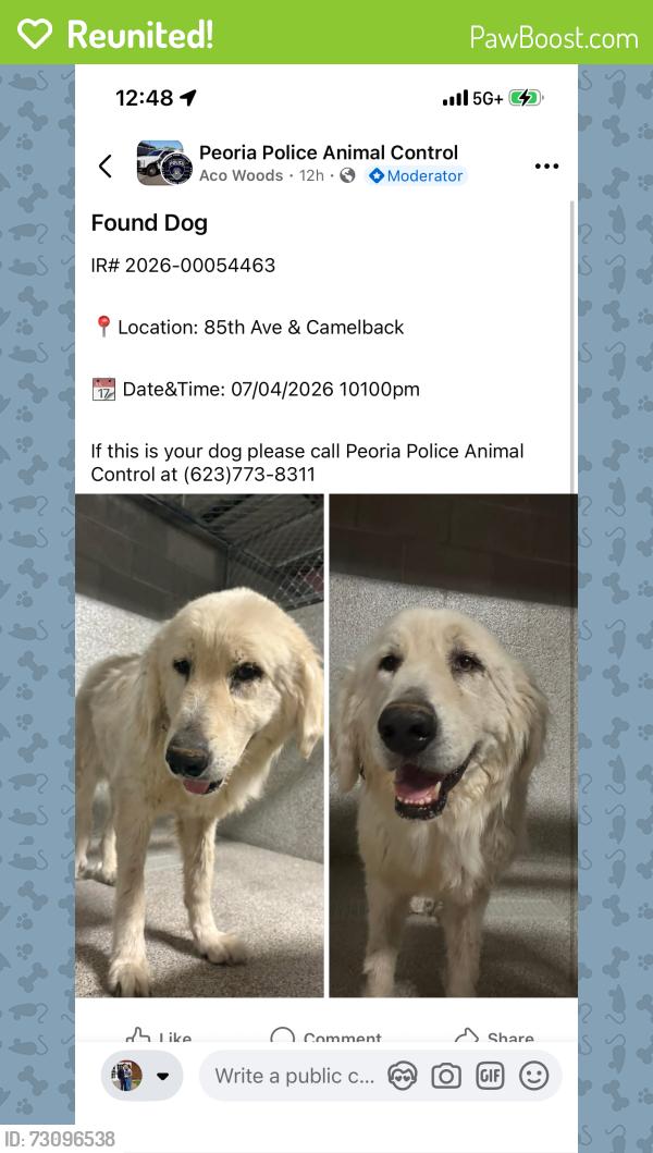 Reunited Unknown Dog last seen 89th ave / camelback, Queens, NY 11433