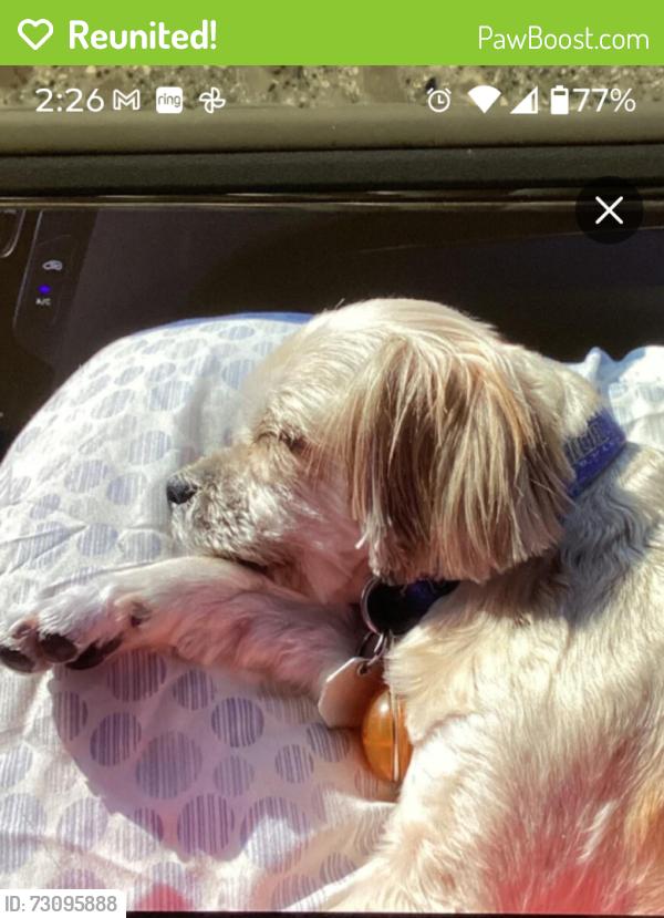 Reunited Unknown Dog last seen Wynkoop Circle and Ackerman , Port Charlotte, FL 33948