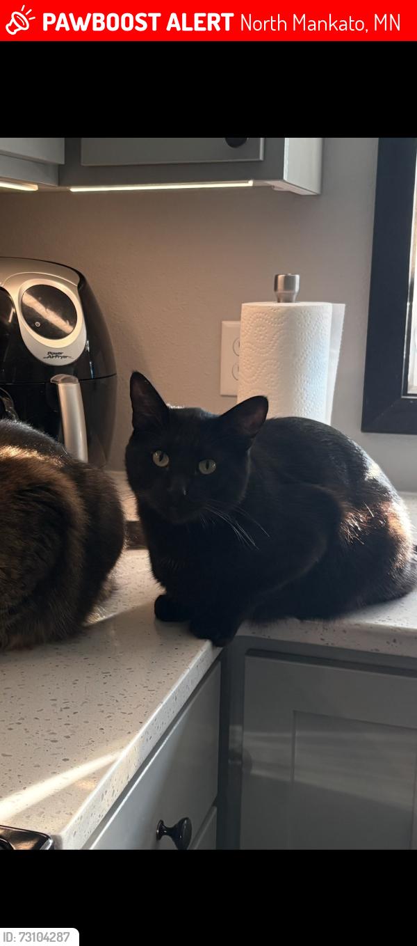 Lost Male Cat last seen Carlson dr north Mankato, North Mankato, MN 56003