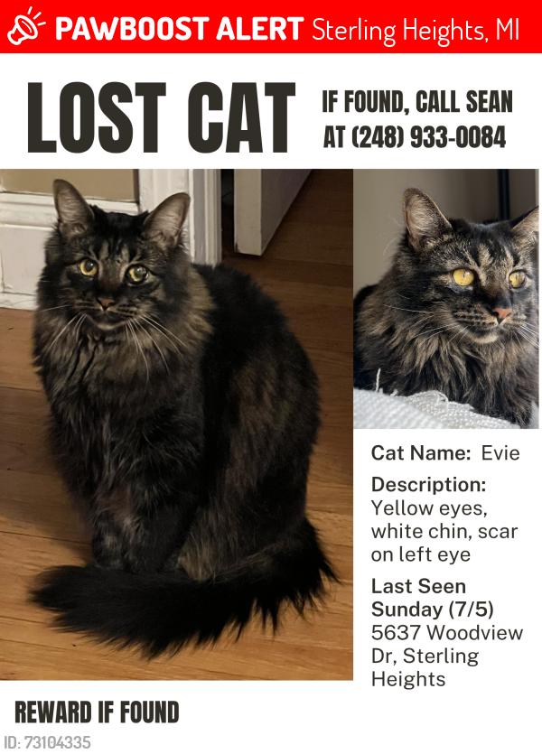 Lost Female Cat last seen Near woodview, Sterling Heights, MI 48314