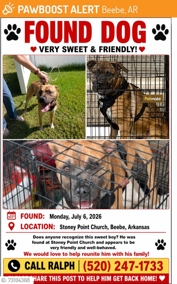 Found/Stray Male Dog last seen Stoney point church, Beebe, AR 72012
