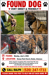 Found/Stray Male Dog last seen Stoney point church, Beebe, AR 72012