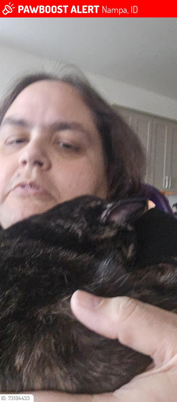 Lost Female Cat last seen Bridal Veil Falls Dr and Victoria falls, Nampa, ID 83686