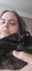 Lost Female Cat last seen Bridal Veil Falls Dr and Victoria falls, Nampa, ID 83686