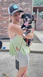 Reunited Female Dog last seen Viceroy Dr E, Jacksonville, FL 32257