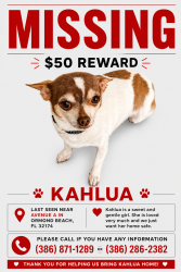 Reunited Female Dog last seen Avenue a and Palm street, Ormond Beach, FL 32174