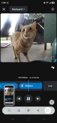 Found/Stray Unknown Cat last seen Behind HP, Boise, ID 83713