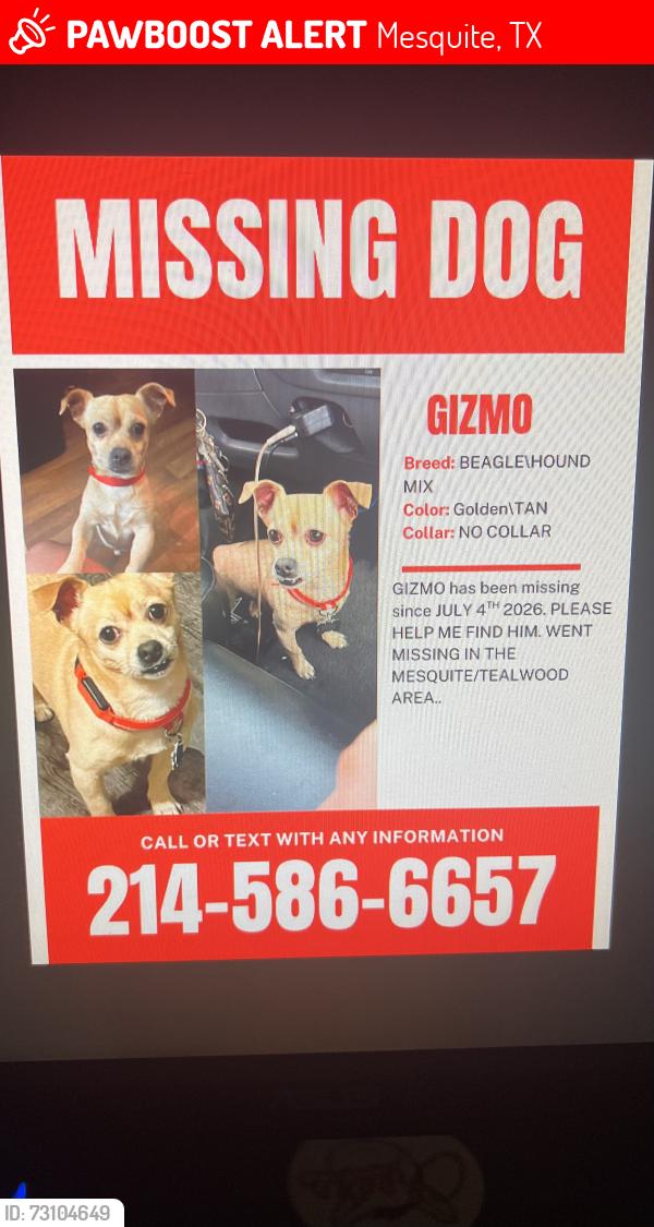Lost Male Dog last seen Kerrville dr and Mackenzi dr, Mesquite, TX 75181