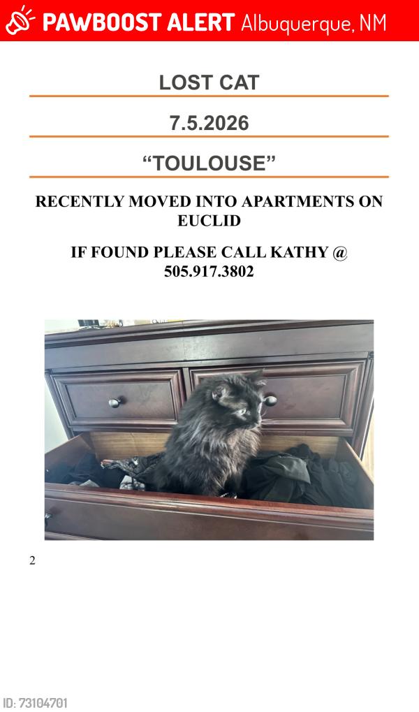 Lost Male Cat last seen Near sandia shadow’s apmt on Indian school, Albuquerque, NM 87106