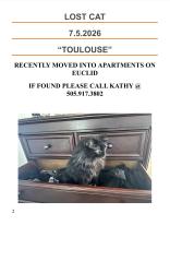 Lost Male Cat last seen Near sandia shadow’s apmt on Indian school, Albuquerque, NM 87106