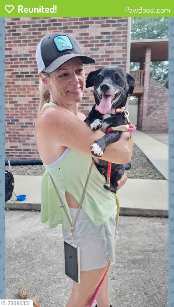 Reunited Female Dog last seen Viceroy Dr E, Jacksonville, FL 32257