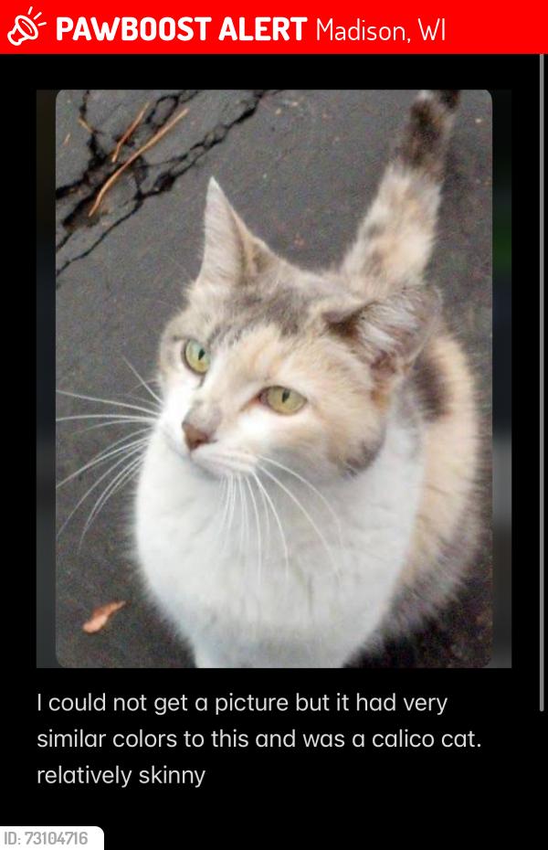 Lost Unknown Cat last seen Behind the laundromat on Basset street called Madtown wash., Madison, WI 53703