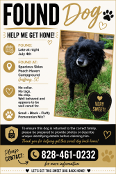 Reunited Male Dog last seen Near Surratt School Road, Gaffney, SC, Gaffney, SC 29341