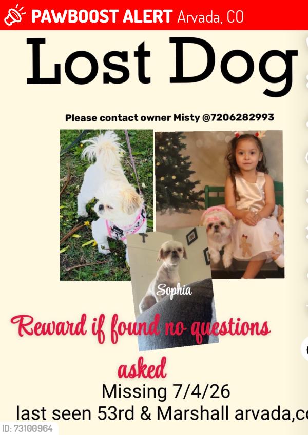 Lost Female Dog last seen Near rd and Marshall st, Arvada, CO 80002