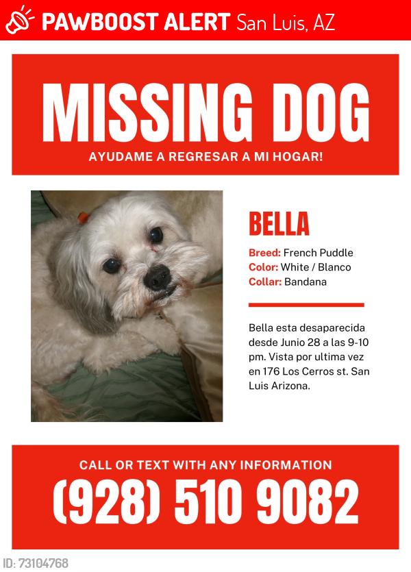 Lost Female Dog last seen Near los cerros St san luis az, San Luis, AZ 85336