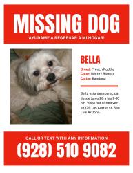 Lost Female Dog last seen Near los cerros St san luis az, San Luis, AZ 85336
