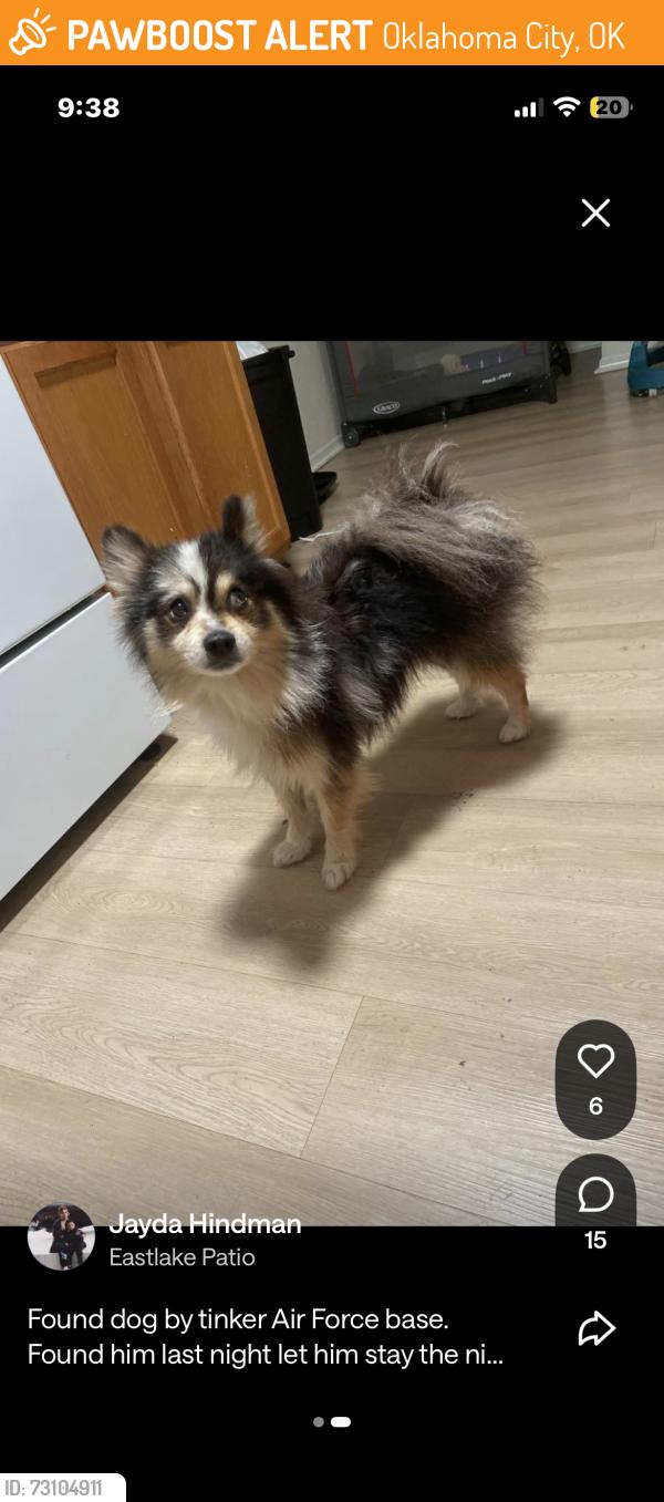 Found/Stray Male Dog last seen Sooner rd, Oklahoma City, OK 73129
