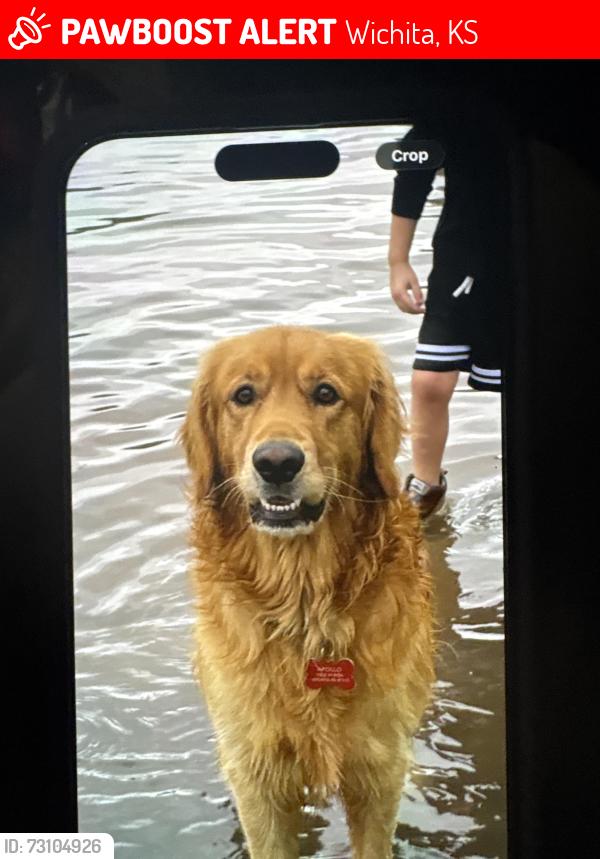 Lost Male Dog last seen Rita ave, Wichita, KS 67213