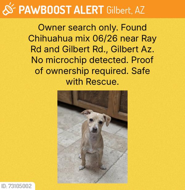 Found/Stray Unknown Dog last seen Gilbert Rd and Ray Rd, Gilbert, AZ 85296