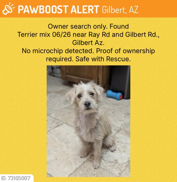 Found/Stray Unknown Dog last seen Gilbert Rd and Ray Rd, Gilbert, AZ 85296
