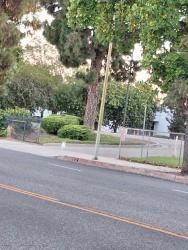Found/Stray Unknown Dog last seen Nordhoff and Mason, Chatsworth, Los Angeles, CA 91311