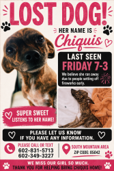 Lost Female Dog last seen Near s 42 nd pl phoenix az 85042, Tigard, OR 97223
