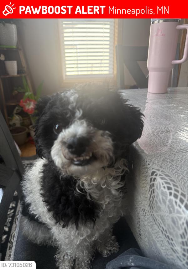 Lost Male Dog last seen Near 25th Ave north, Minneapolis, MN 55411