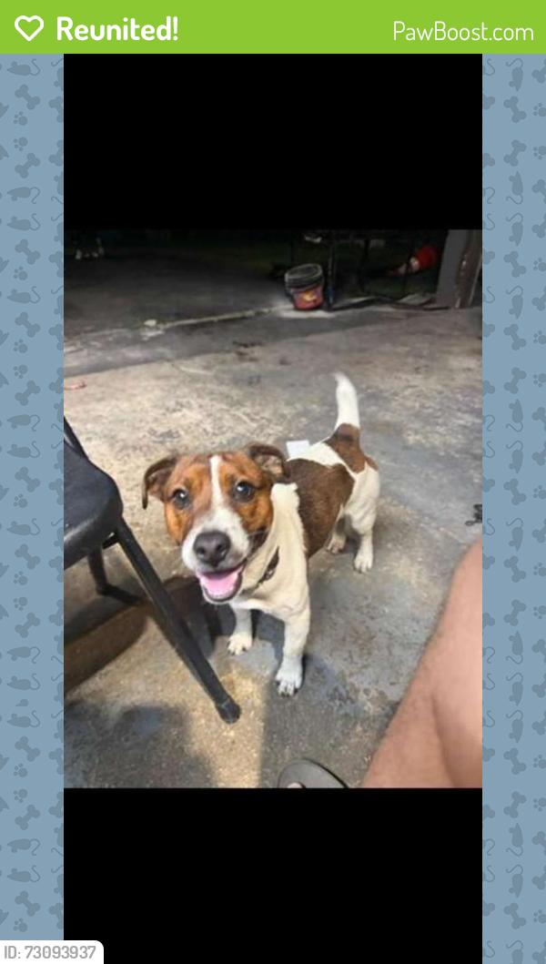 Reunited Male Dog last seen Main st, Woodbridge Township, NJ 08863