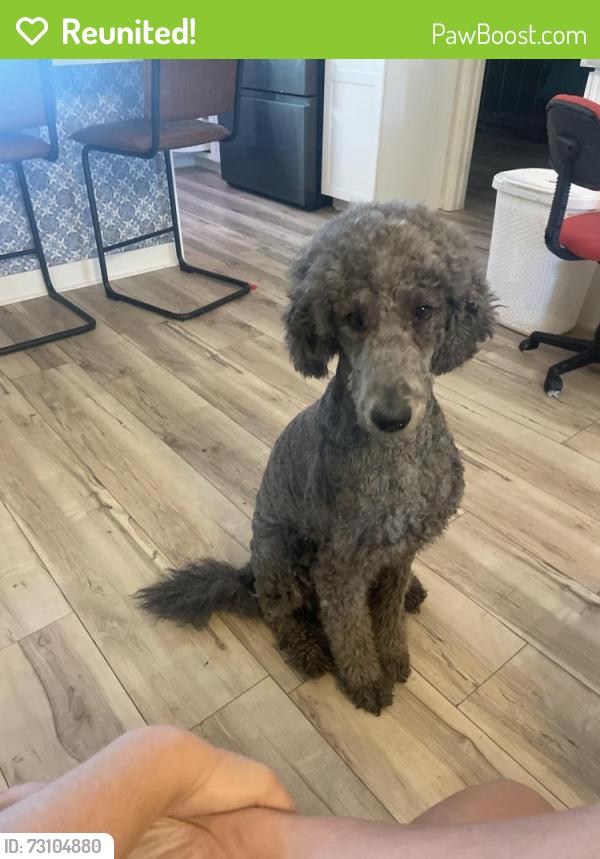 Reunited Male Dog last seen Wylam , Port Charlotte, FL 33954