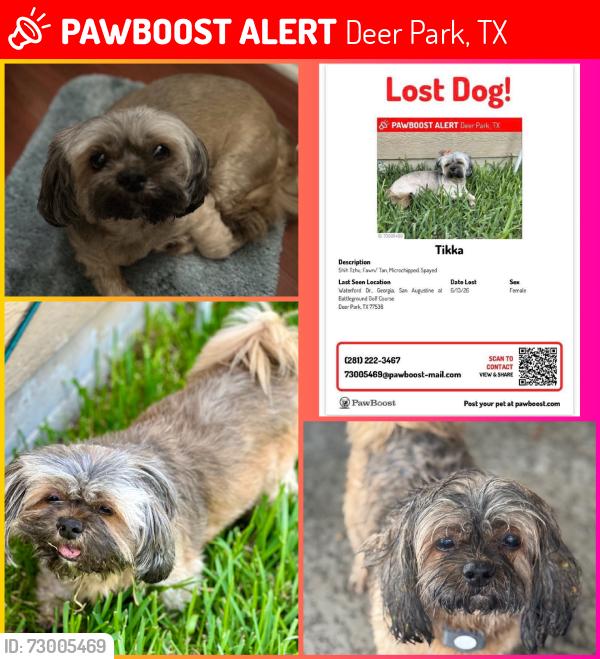 Lost Female Dog last seen Waterford Dr., Georgia, San Augustine at Battleground Golf Course, Deer Park, TX 77536