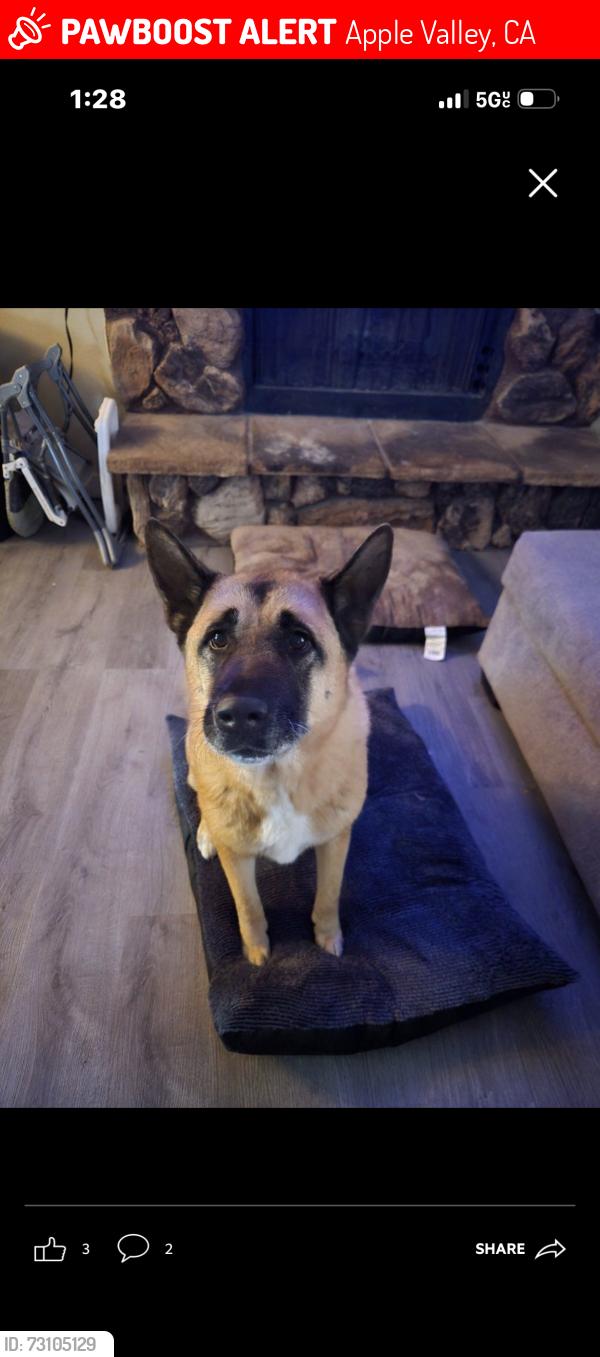Lost Male Dog last seen Sitting bull, Apple Valley, CA 92307