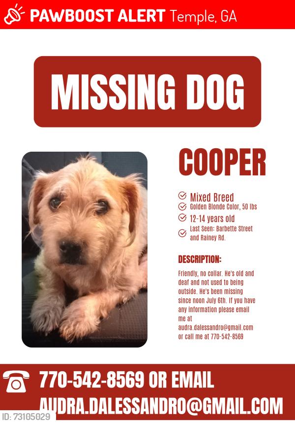Lost Male Dog last seen Rainey Rd, Temple, GA 30179