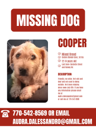 Lost Male Dog last seen Rainey Rd, Temple, GA 30179