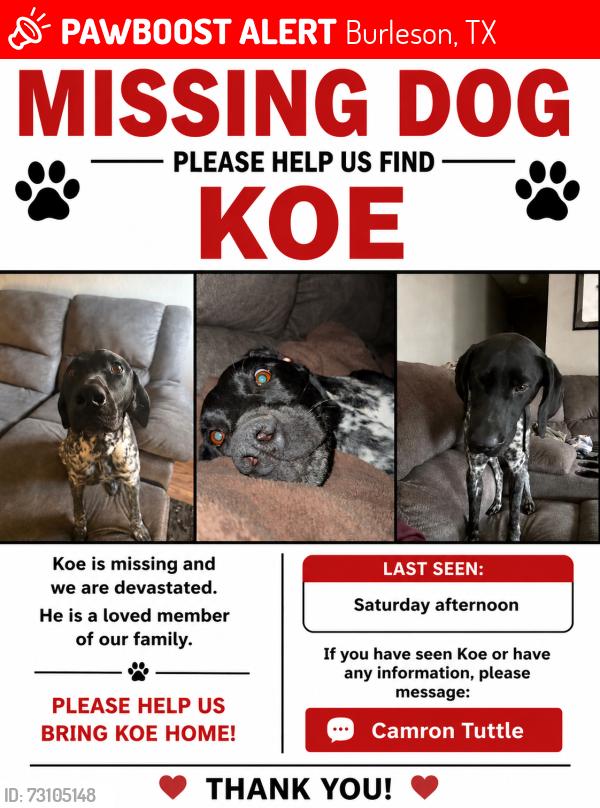 Lost Male Dog last seen Chisenhall fields, Burleson, TX 76028