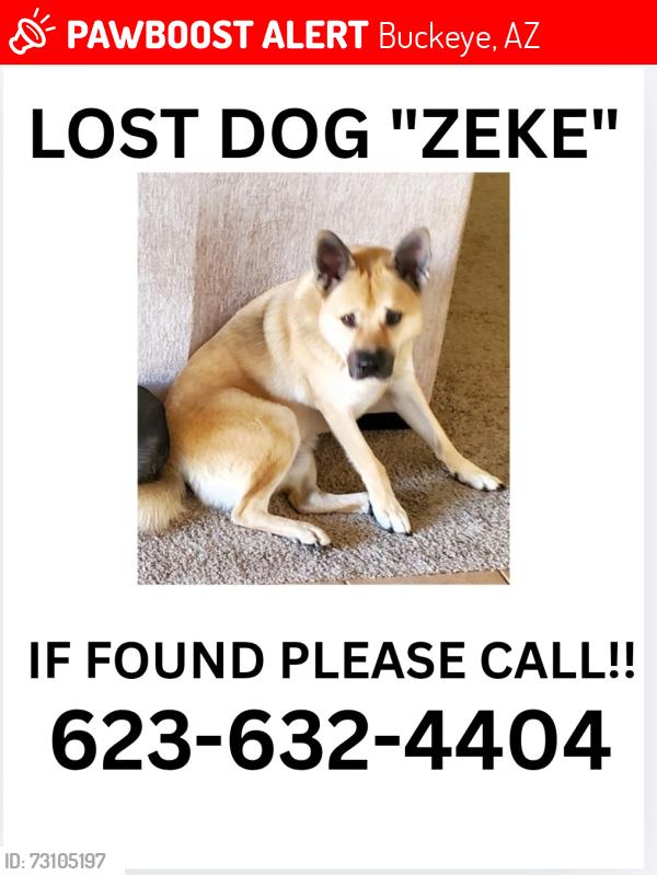 Lost Male Dog last seen Chandler Heights & Rainbow Valley Rd, Buckeye, AZ 85326