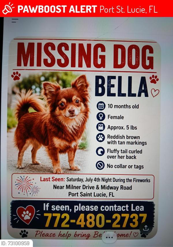 Lost Female Dog last seen Milner drive and lamoore ln, Port St. Lucie, FL 34983