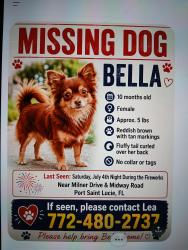 Lost Female Dog last seen Milner drive and lamoore ln, Port St. Lucie, FL 34983