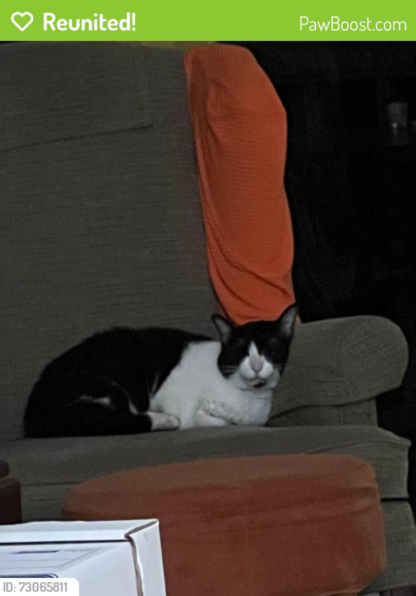 Reunited Male Cat last seen 18th Ave N, Plymouth, MN 55447